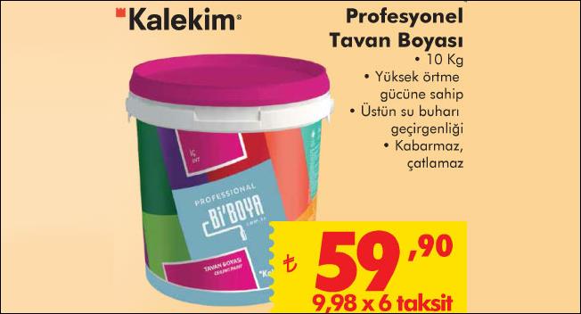 tavan boyası