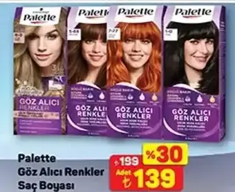 Palette Göz Alıcı Renkler Saç Boyası Çeşitleri