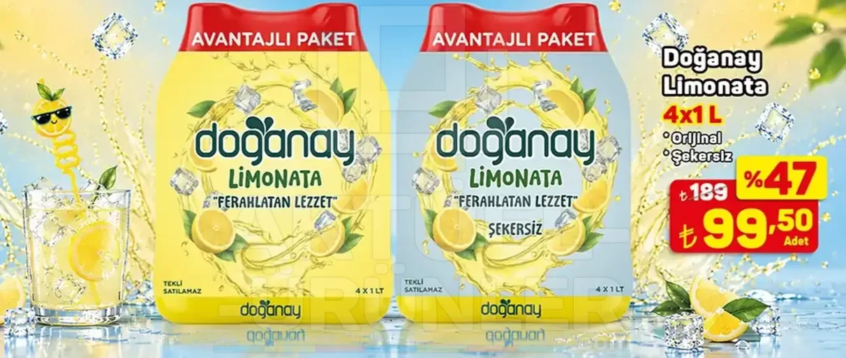 Doğanay Limonata Çeşitleri 4x1 L