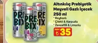 Altınkılıç Prebiyotik Meyveli Gazlı İçecek 250 ml