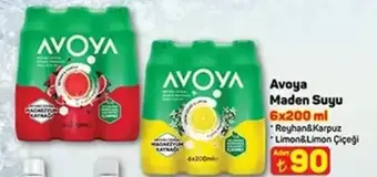 Avoya Maden Suyu 6x200 ml