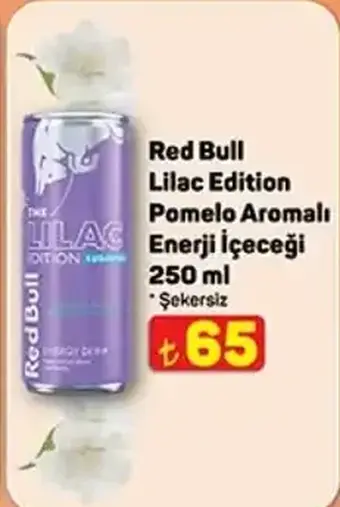 Red Bull Lilac Edition Pomelo Aromalı Enerji İçeceği 250 ml