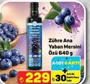 Zühre Ana Yaban Mersini Özü 640 g