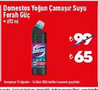 Domestos Yoğun Çamaşır Suyu Ferah Güç 693 ml
