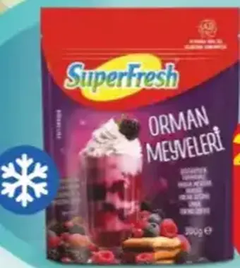 Superfresh Orman Meyveleri 300 g