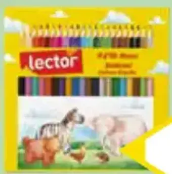 Lector Kuru Boya 24'lü