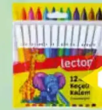 Lector Keçeli Kalem 12'li
