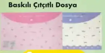 Baskılı Çıtçıtlı Dosya