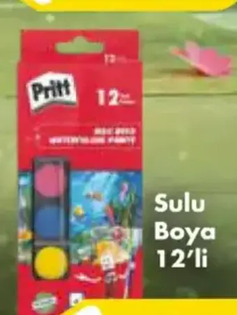 Pritt Sulu Boya 12'li