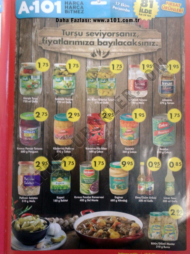 A101 17 Ekim 2013 Aktüel Kataloğu Sayfa 3