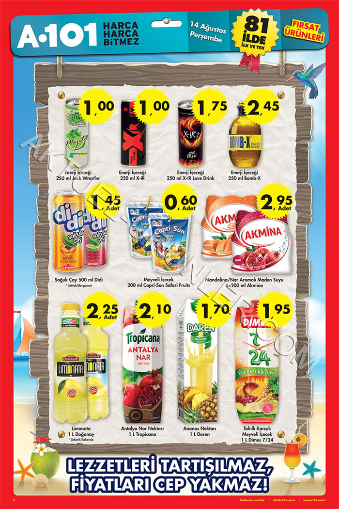 A101-14-Ağustos-2014-Aktüel-Ürün-Katalogu-sayfa-5-beş
