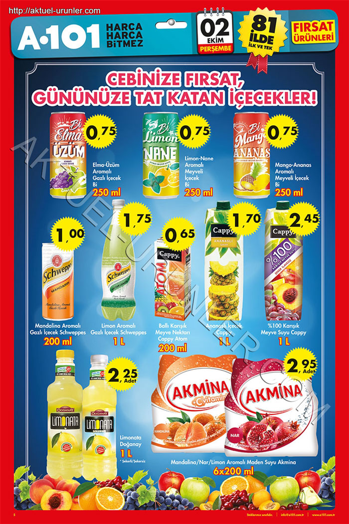 A101-2-Ekim-2014-Aktüel-Ürün-Katalogu-Sf-bes-5