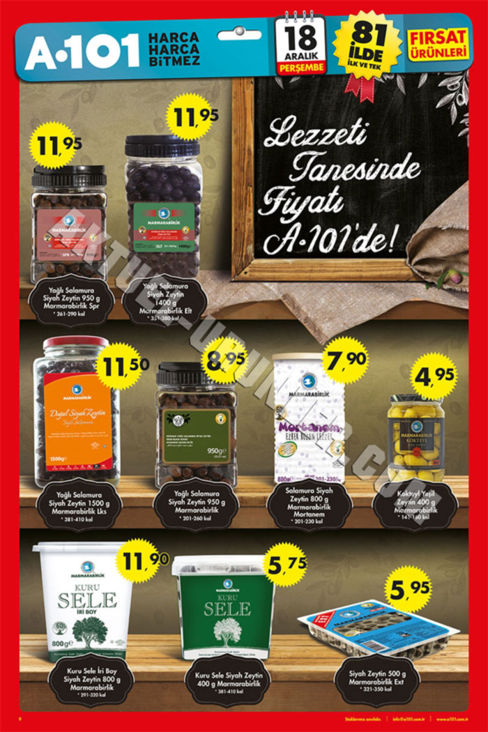 A101-18-Aralık-2014-Aktüel-Ürünler-Katalogu-zeytin-sf-9
