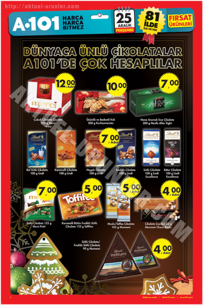 A101-25-Aralık-2014-Aktüel-Ürünler-Katalogu-altı-6