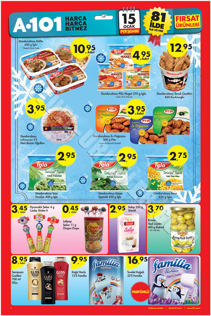 A101-15-Ocak-2015-Aktüel-Ürünler-Kataloğu-iglo-5