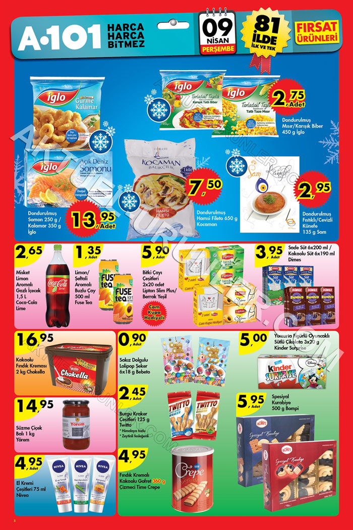 A101-9-Nisan-2015-Aktüel-Ürünler-Kataloğu-don-gıda-5