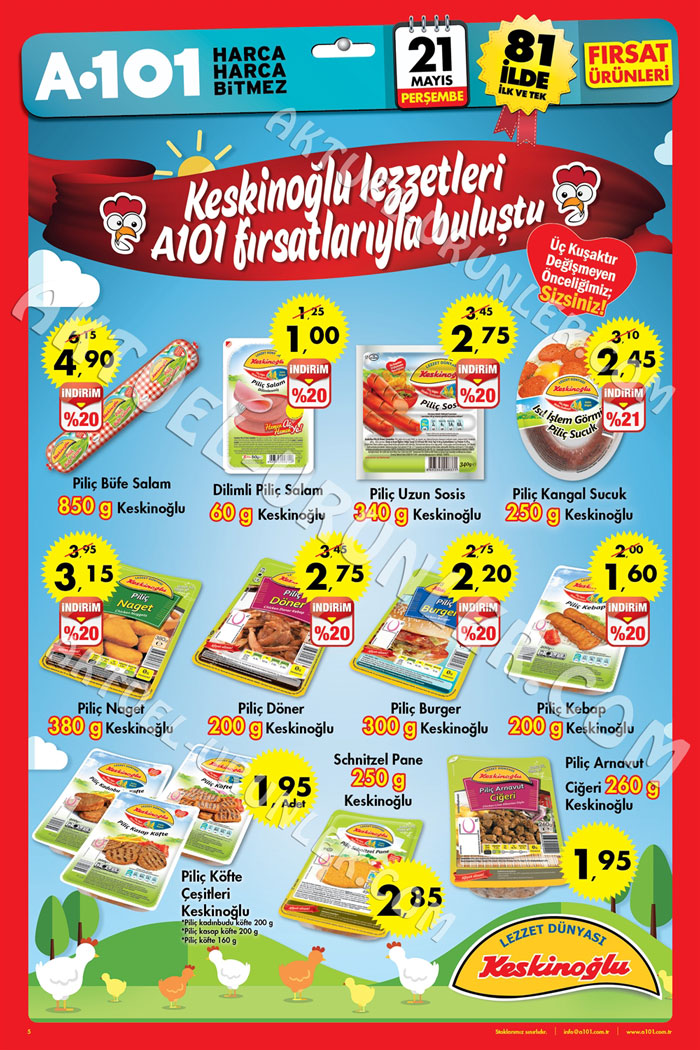 A101-21-Mayıs-2015-Aktüel-Ürünler-Kataloğu-Keskinoglu-5