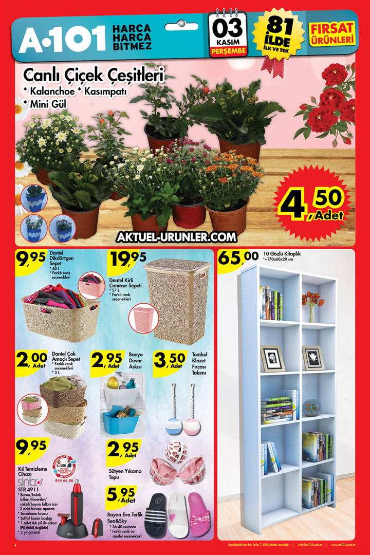 A101 3 Kasım Aktüel Ürünleri – Canlı Çiçekler