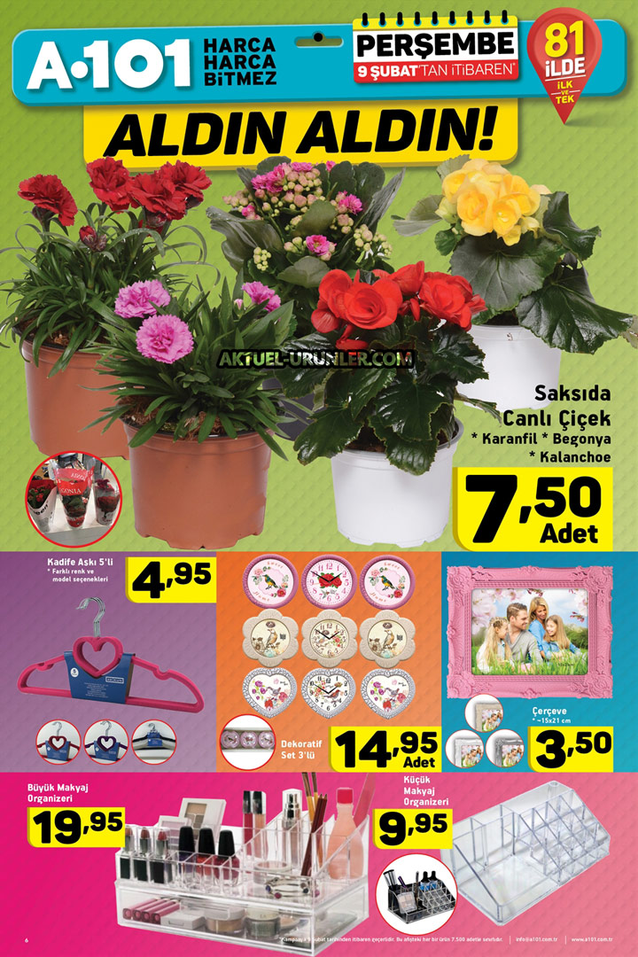 A101 9 Şubat Perşembe Aktüel Ürünleri – Saksıda Canlı Çiçek