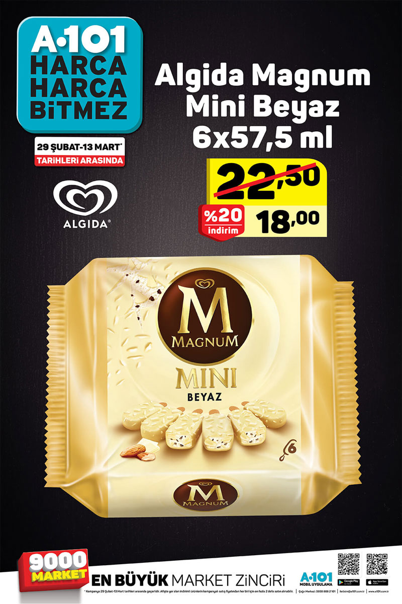 a101 29 subat 13 mart 2020 aktuel urunler katalogu