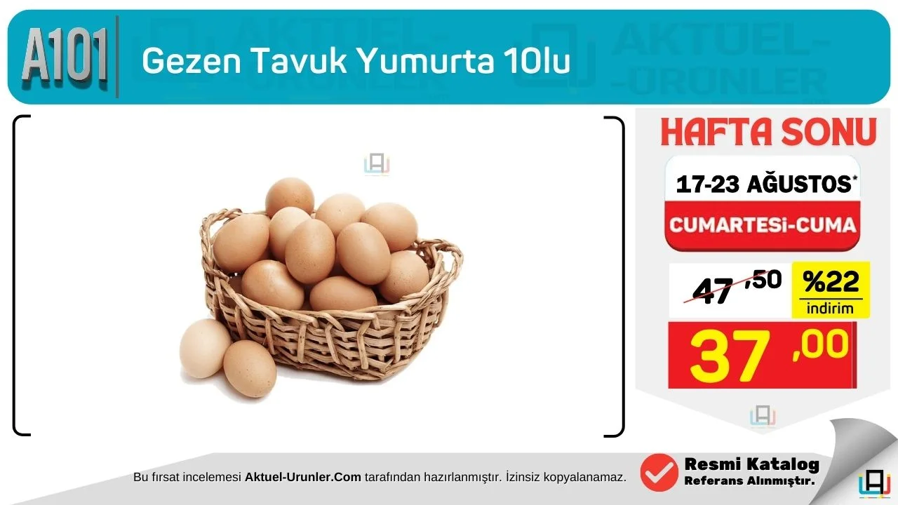 A101 17 Agustos Tekli İnceleme infografik Görsel