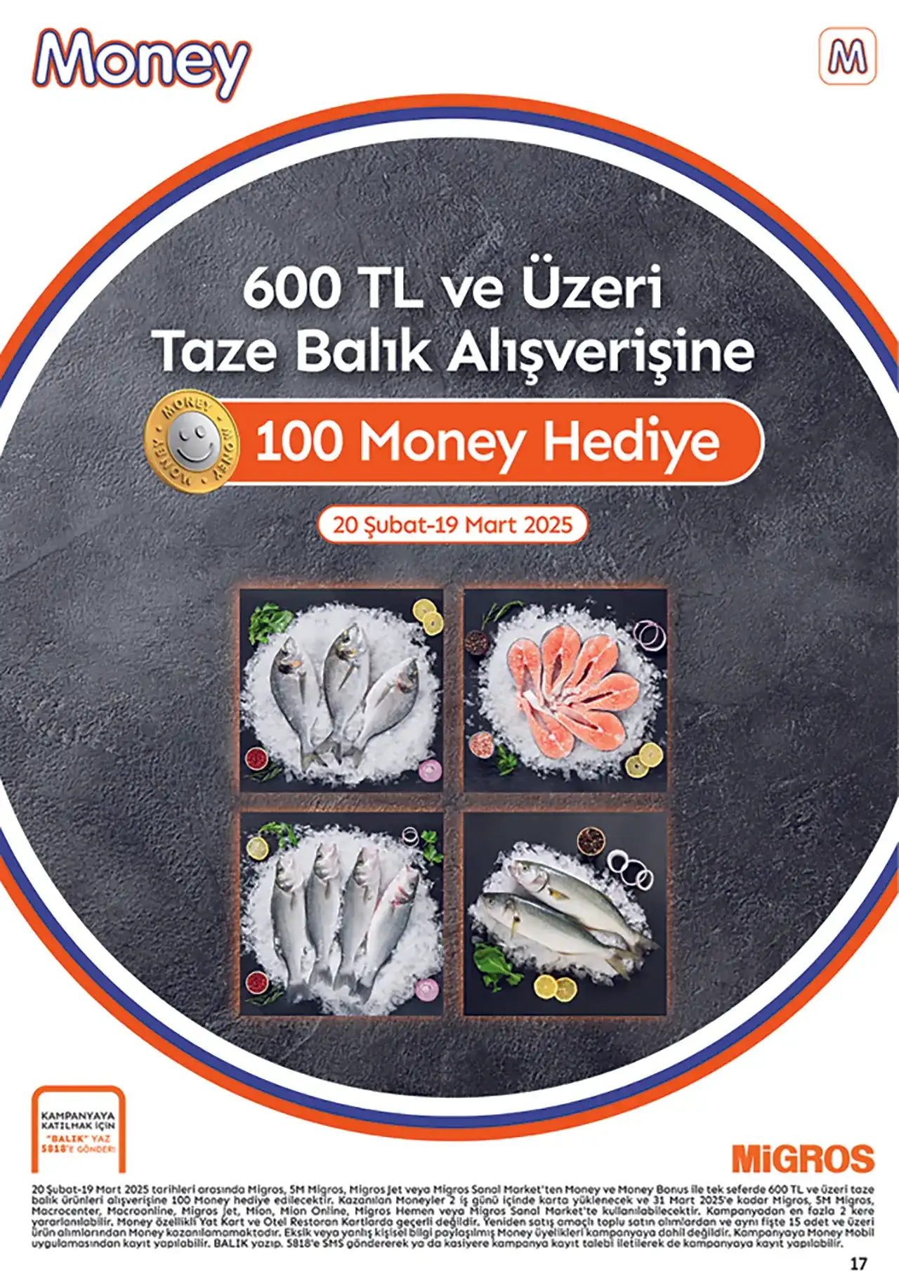 Migroskop Şubat 2025 Aktüel Ürünler Kataloğu 17. Sayfa
