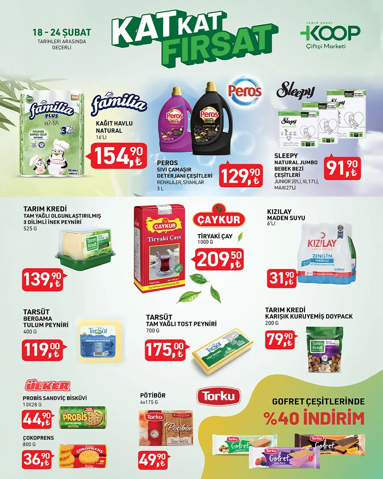 Tarım Kredi Kooperatifi 18 Şubat 2025 Aktüel Ürünler Kataloğu Sayfa 2