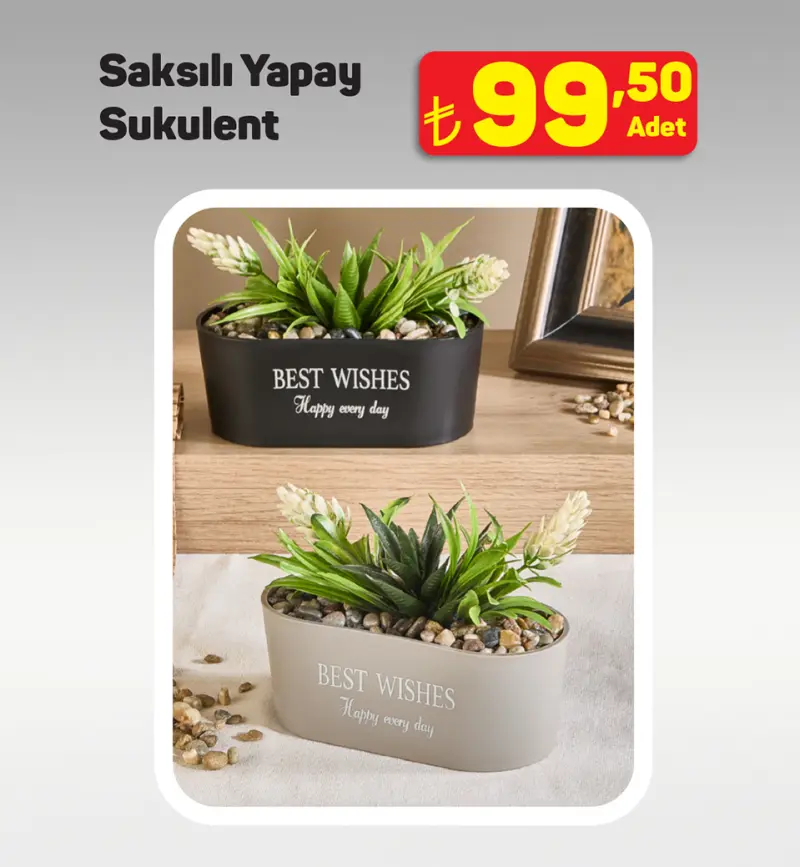 A101 6 Kasım Tekli İnceleme Görsel 3