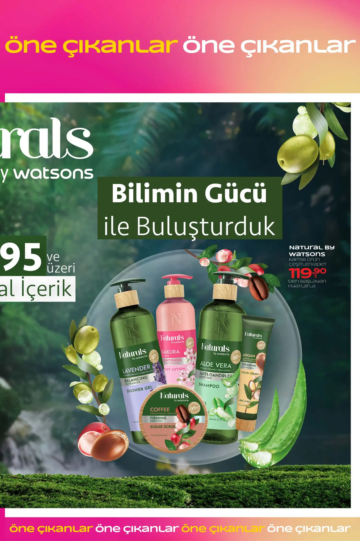 Watsons Ağustos 2026 Kataloğu – 8. Aktüel Katalog 39